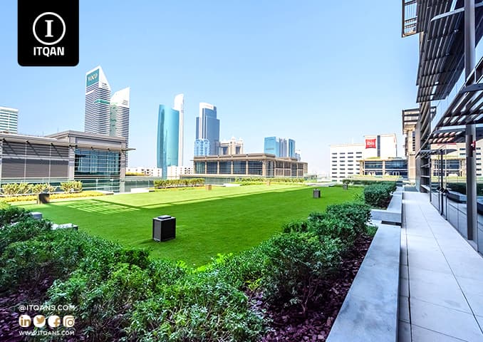 تأسيس شركة فى الأمارات